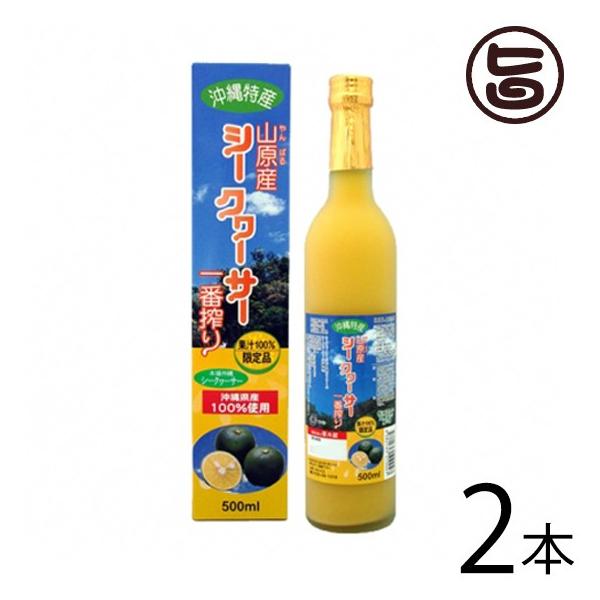 RY V[N[T[ ԍ 500ml×2{ kY  lC ʏ`100% N 炲Ɗۍ ʓ ̉ƒ̈w