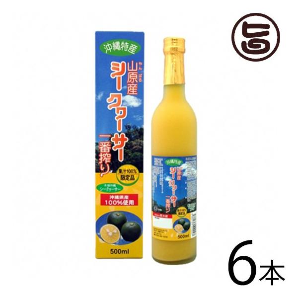 RY V[N[T[ ԍ 500ml×6{ kY  lC ʏ`100% N 炲Ɗۍ ʓ ̉ƒ̈w