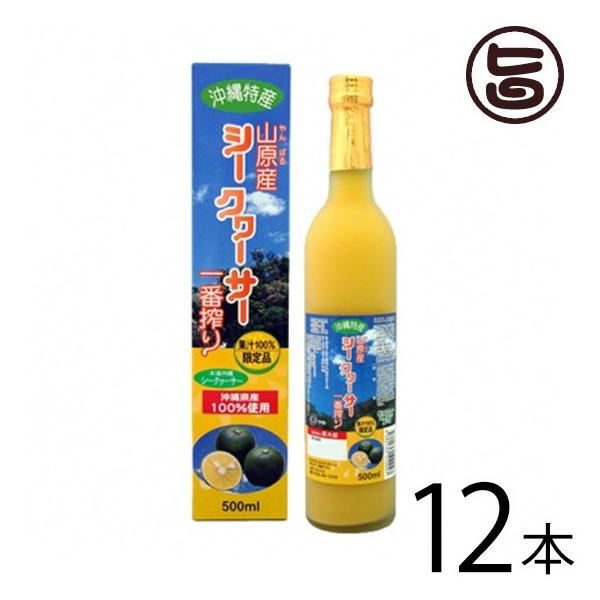 RY V[N[T[ ԍ 500ml×12{ kY  lC ʏ`100% N 炲Ɗۍ ʓ ̉ƒ̈w