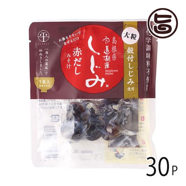 Mtg ΎY ȑ嗱ݏ` Ԃ 48g×30 ʋl  yY lC VW~ ݂` wsgp 