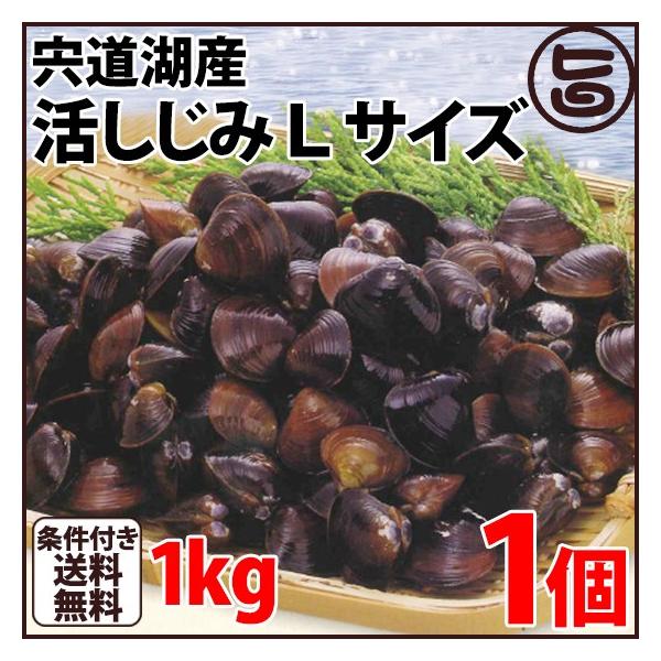 ΎY ݂k k14`16mm(͂ρj1kg  n VN VW~  X