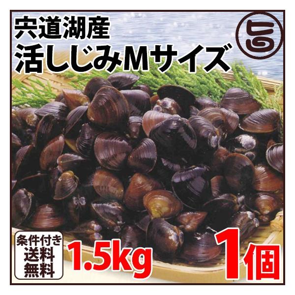 ΎY ݂l k12`14mm(͂ρj1.5kg  n VN VW~  X