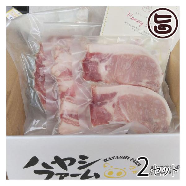 Mtg MB nj[xCu nVt@[ v~A Ƃ񂩂p ؂ Ԃ 2Zbg  ؓ  p