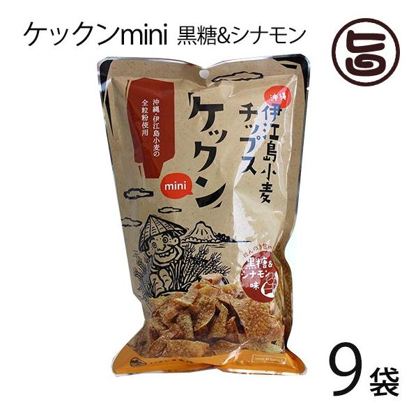 PbNmini &amp;Vi 60g×9 ɍ]`bvX ق̂ÂI  