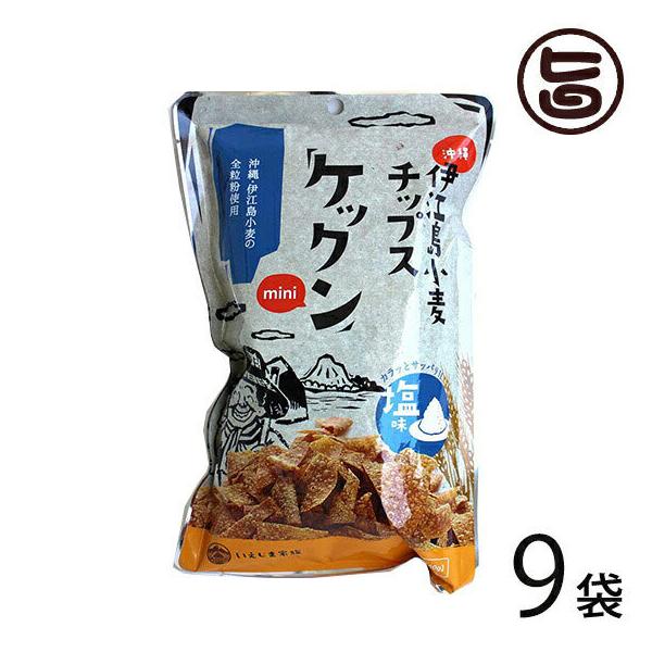 �P�b�N��mini �� 60g×9�� ����ɍ]�������`�b�v�X �N�Z�ɂȂ�|���I �����