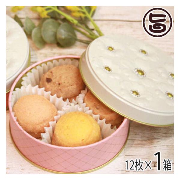 ӂ܂ nbs[u[P NbL[ 12  䌧 yY  َq ̃uh܂gp