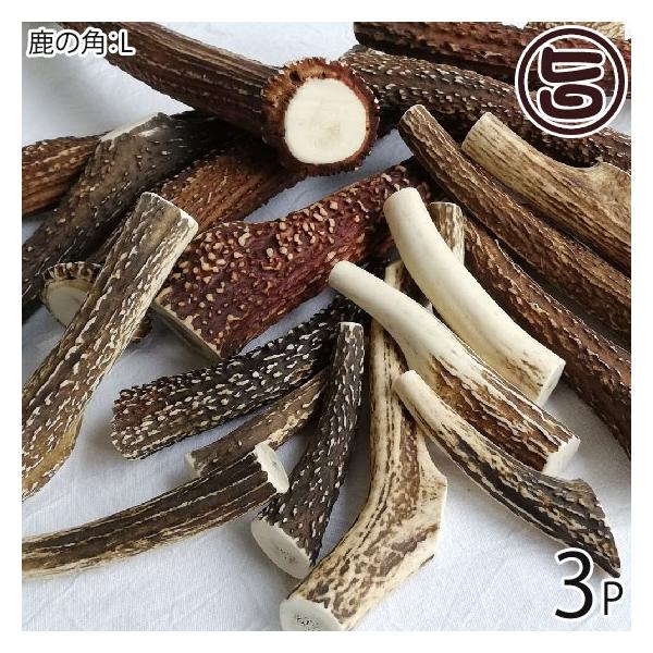 {B̊p LTCY×3P AñWrG RR Ɍ lC yY i`ybgt[h XgX JVEێ