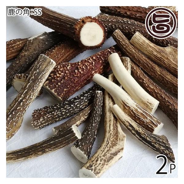 {B̊p SSTCY×2P AñWrG RR Ɍ lC yY i`ybgt[h XgX JVEێ