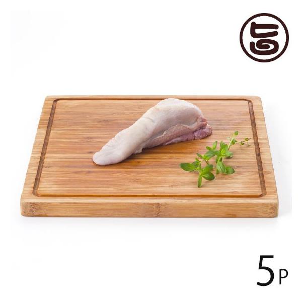  ^ 5{ AñWrG RR Ɍ lC yY VR{B(ɌAnY) 󏭕