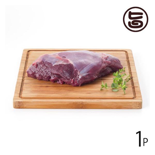   600g AñWrG RR Ɍ lC yY VR{B(ɌAnY) ē [Xg Jc Ԃ