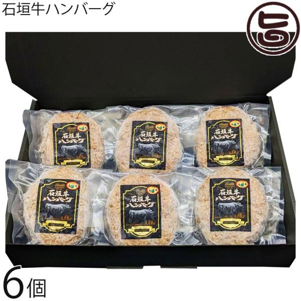 ギフト 石垣牛ハンバーグ 120g×6個セット やえやまファーム