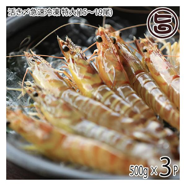 97 以上節約 活車海老 通常m 約15cm 1kg 沖縄県産 Erotikfilmen Com