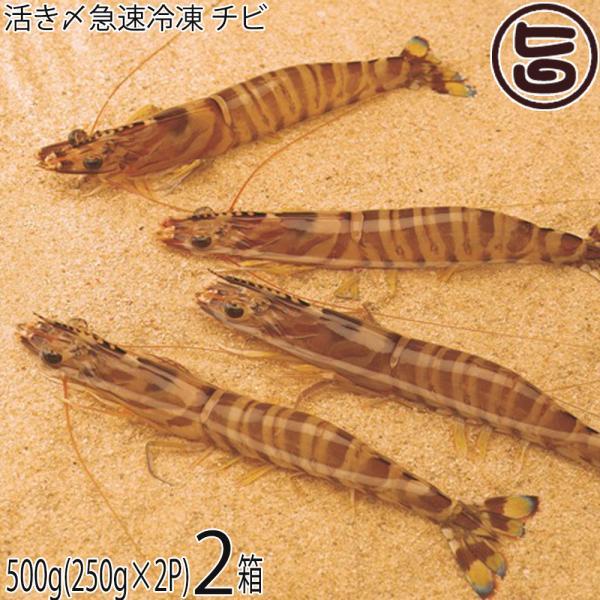 エビ 沖縄の人気商品 通販 価格比較 価格 Com