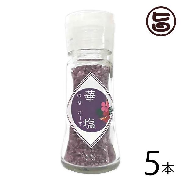 ؉ (͂Ȃ܁[) p[v 20g×5 eNmO[  yY lC  VR