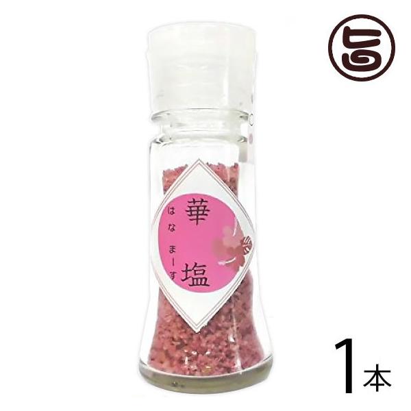 ؉ (͂Ȃ܁[) sN 20g×1 eNmO[  yY lC  VR