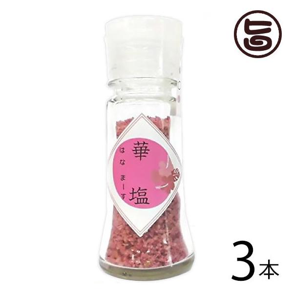 ؉ (͂Ȃ܁[) sN 20g×3 eNmO[  yY lC  VR