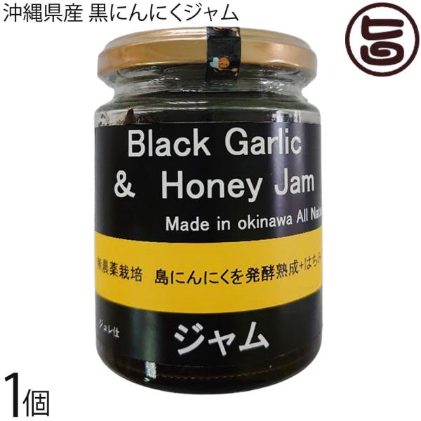 沖縄県産 熟成黒にんにく 黒のジャム(特濃) ジュレ仕様 200g×1個 テクノグリーン 沖縄