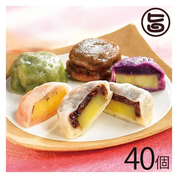 Mtg F{ Ȃcq 40Zbg 5̖ RE} q F{ lC aَq oii}̂O