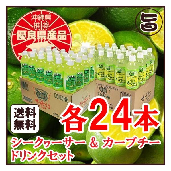 V[N[T[ &amp; J[u`[ hNZbg 350ml×e24{ RV[N[T[  lC 썑t[c mr`