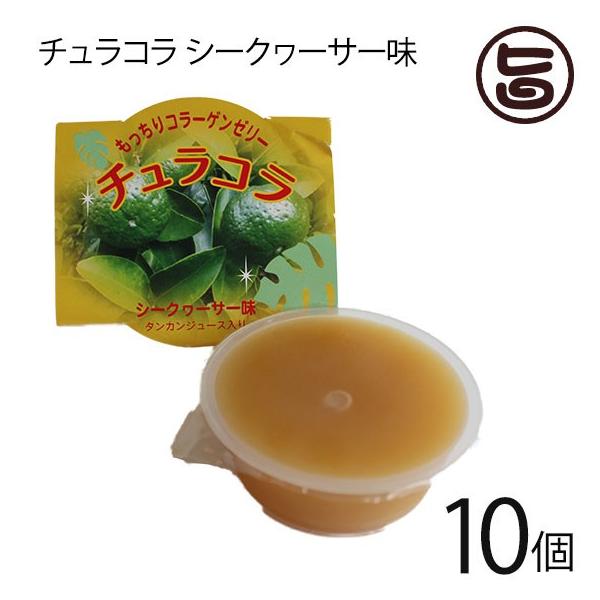 `R (R[Q[[) V[N[T[ 10Zbg (2×5) [t[Y  yY F 