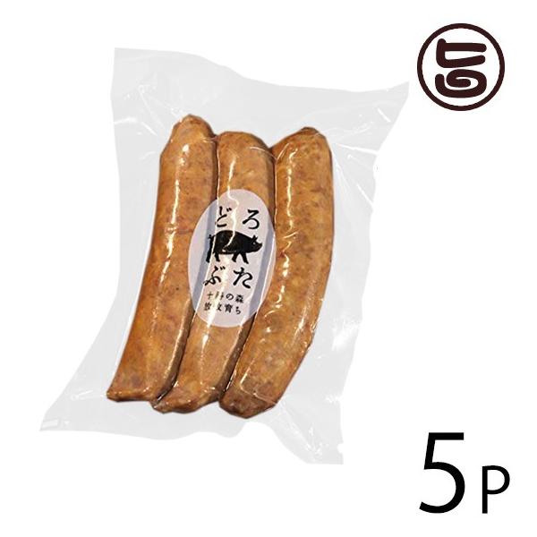 Mtg tN\[Z[W 3{ 165×5P Gp\ ǂԂ kC lC 񂹐H тgp̃tN