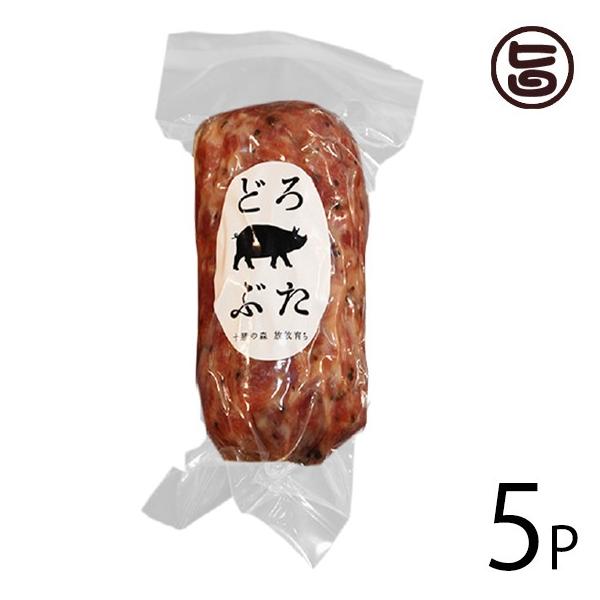 Mtg ǂԂ NRET~ 120g×5P Gp\ kC lC  IWi̕q Z~n[h^CvT~