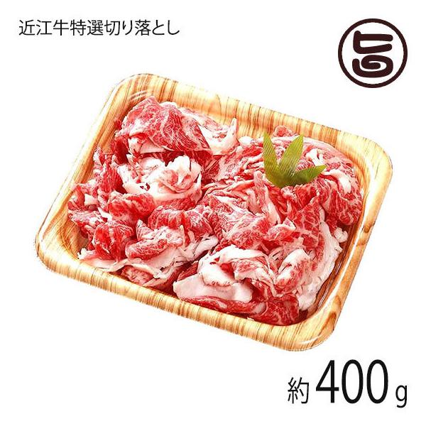 Mtg ߍ]I ؂藎Ƃ   Ef o~bNX 400g X  yY lC   ꌧYߍ]