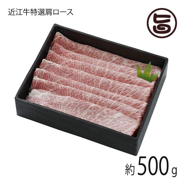 Mtg ߍ]I [X Ԃ 500g X  yY lC   ꌧYߍ]