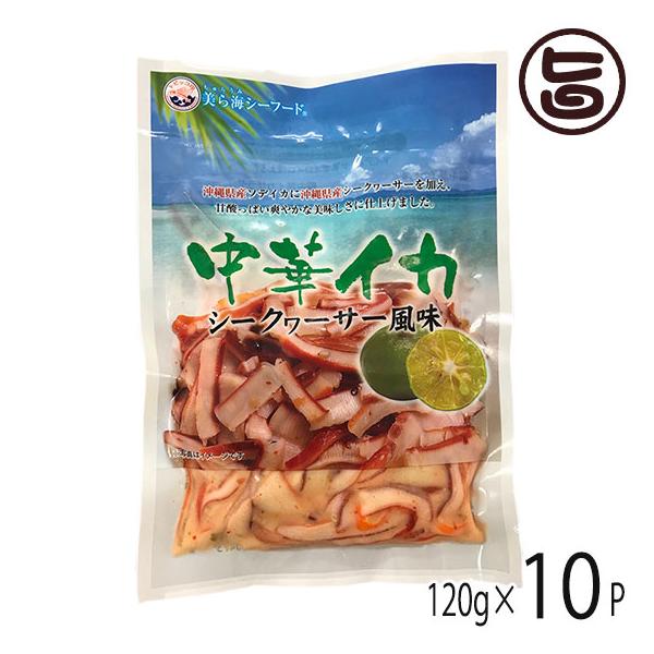 ؃CJ V[N[T[ 120g×10P ۏY  yY ꌧY\fCJ ꌧYV[N[T[ʏ`gp