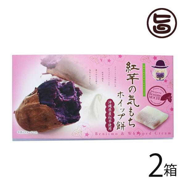 g̋C zCbv 10×2 앗 ꌧYgA(߂ނ炳)  yY