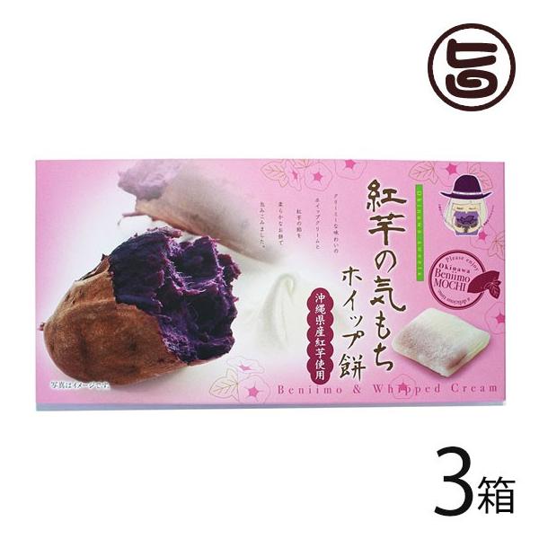 g̋C zCbv 10×3 앗 ꌧYgA(߂ނ炳)  yY