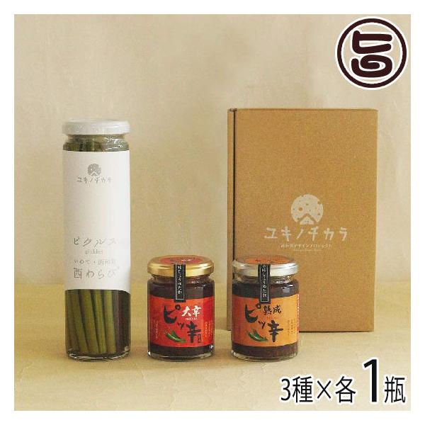 Mtg уsNX&amp;h傤 MtgZbg aYƌ 茧 yY   Е ܂   蕨