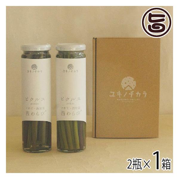 Mtg Lm`J уsNX 120g×2{ aYƌ 茧 yY  Е msNX wV[ ܂ݑ