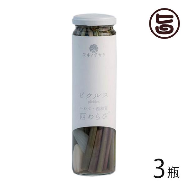 Mtg Lm`Jт̃sNX 120g×3r aYƌ 茧 yY  msNX LŃXpCV[ wV[