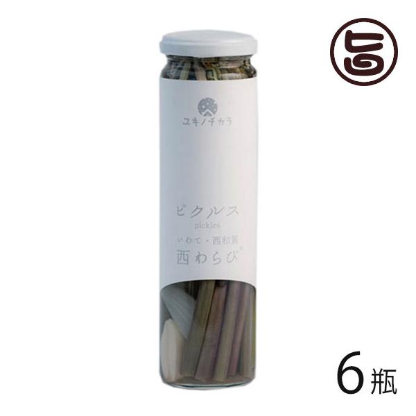 Mtg Lm`Jт̃sNX 120g×6r aYƌ 茧 yY  msNX LŃXpCV[ wV[