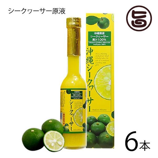 ꌧY100 V[N[T[t 205ml×6{ sY Y V[N[T[ mr`Lx