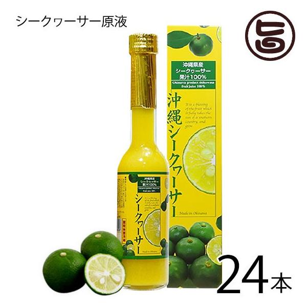 ꌧY100 V[N[T[t 205ml×24{ sY Y V[N[T[ mr`Lx