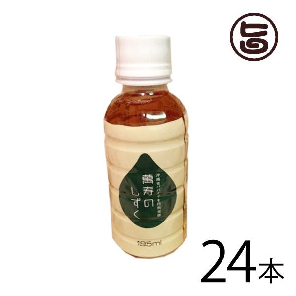 ݎ̂ 195ml 1P[X(24{)  hN ppC mJ[ ~l NǗ