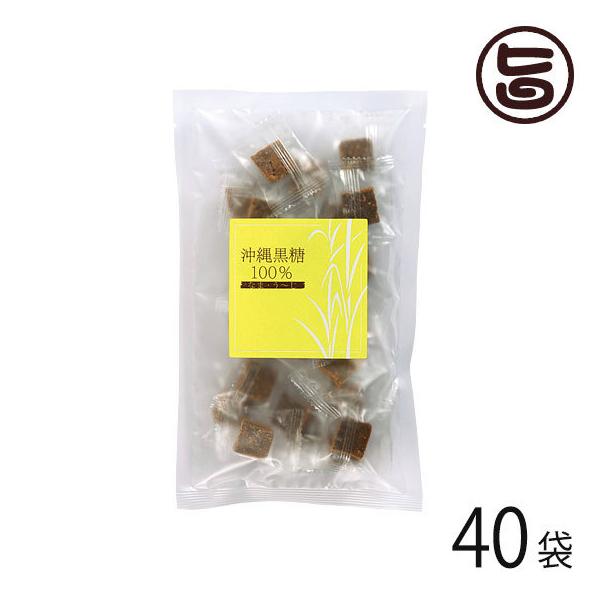 ꍕ100% Ȃ܁E` 120g×40 MюA  TgELr  lC 