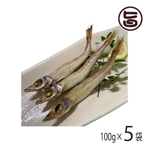  LX 100g×5܃Zbg xX cs g  DHA EPA