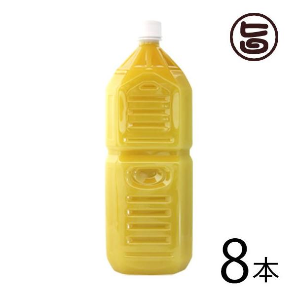 Ɩp ꌧY100% V[NT[2L()×8{ ILn  lC 厡オfÏ ̉ƒ̈w A pA mr`