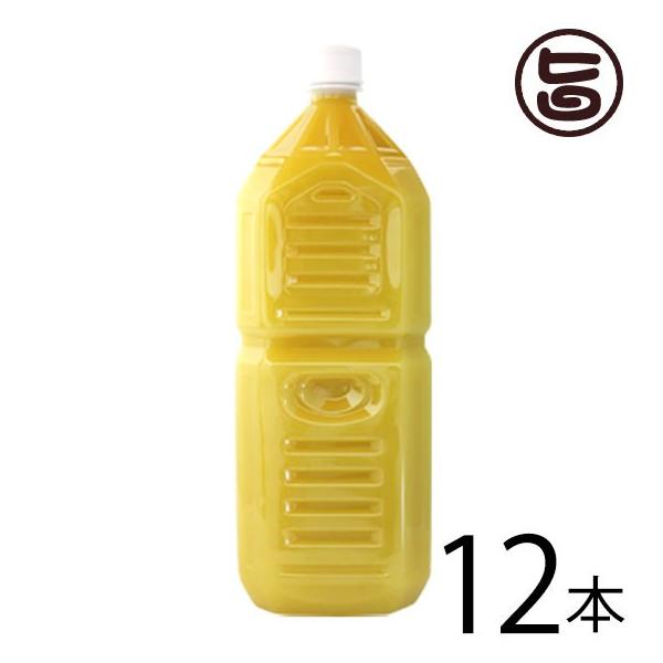 Ɩp ꌧY100% V[NT[2L()×12{ ILn  lC 厡オfÏ ̉ƒ̈w A pA mr`