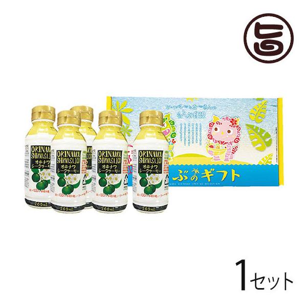 Mtg V[N[T[ 100% 200ml×5{Zbg ILnMtg