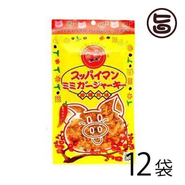 XbpC} ~~K[W[L[ 25g×12  lC  yY ܂ 