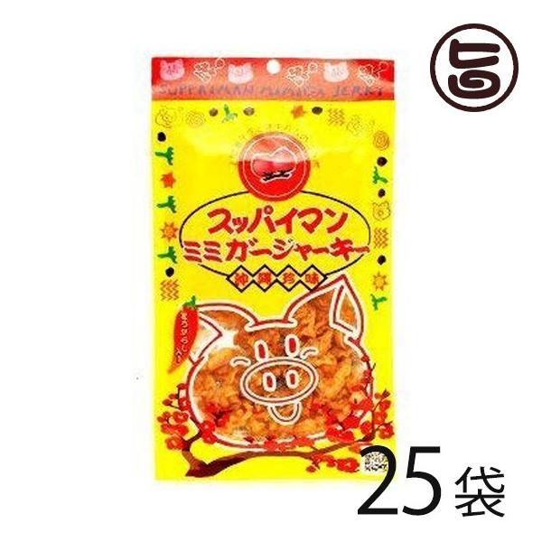 XbpC} ~~K[W[L[ 25g×25  lC  yY ܂ 