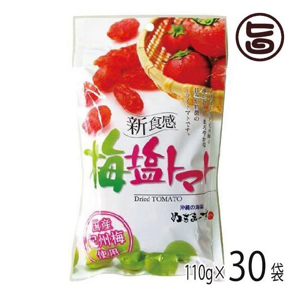 ~g}g 110g×30P ~lՂ hCg}g ăoeh~ MǑ΍ lC yY