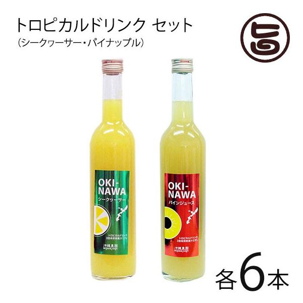 gsJhN V[N[T[&amp;pCibv500ml ×e6{ _ ꌧYV[N[T[ʏ` 3{߃^Cv