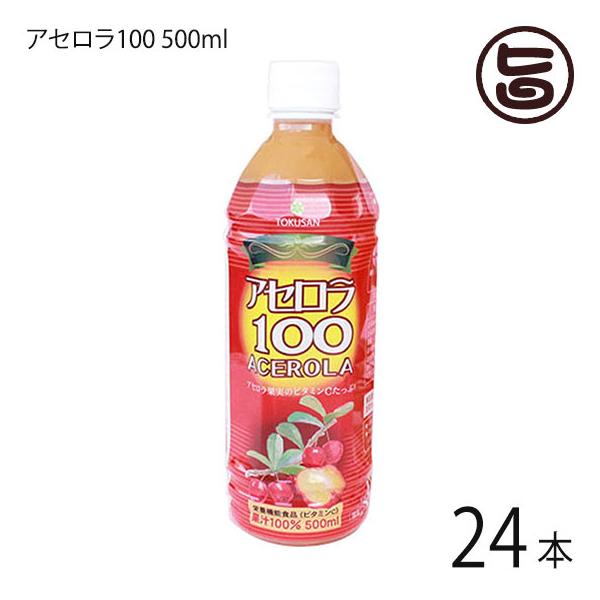 アセロラ100 500ml×24本(１ケース) 果汁100% 沖縄特産販売 沖縄土産 沖縄 土産 人気 ドリンク 健康管理