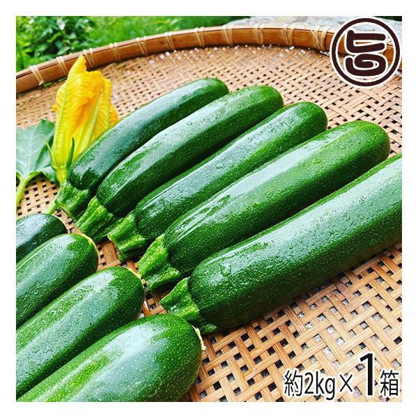 ズッキーニの人気商品 通販 価格比較 価格 Com