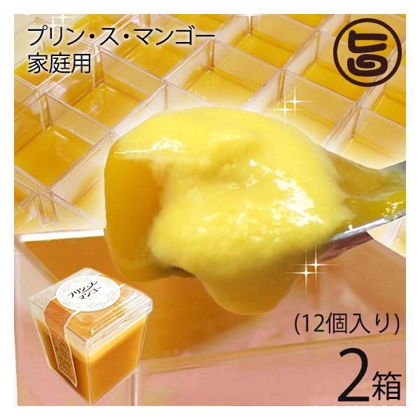 vEXE}S[ (ƒp) 12×2 CG^[eCg  lC XC[c 썑t[c n